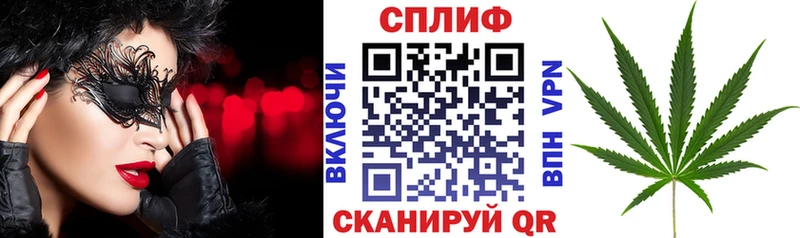 где купить наркоту  Андреаполь  Шишки марихуана планчик 